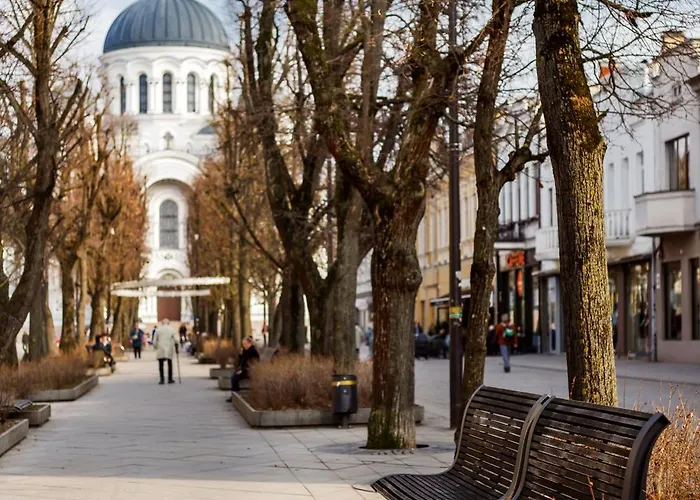Cosy With Balcony In Center Каунас